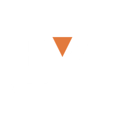 Levee Medical